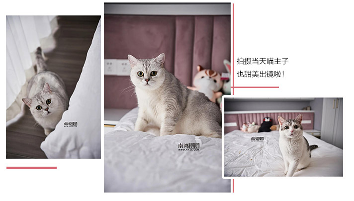 1596073638537423.jpg 微信圖片_20200730092735.jpg