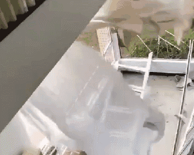 1597109841727839.gif 微信圖片_20200811092948.gif